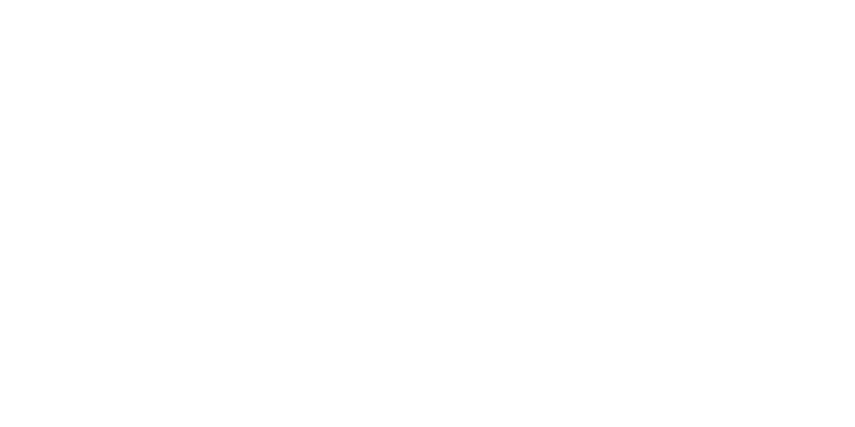 The Bergi Brothers